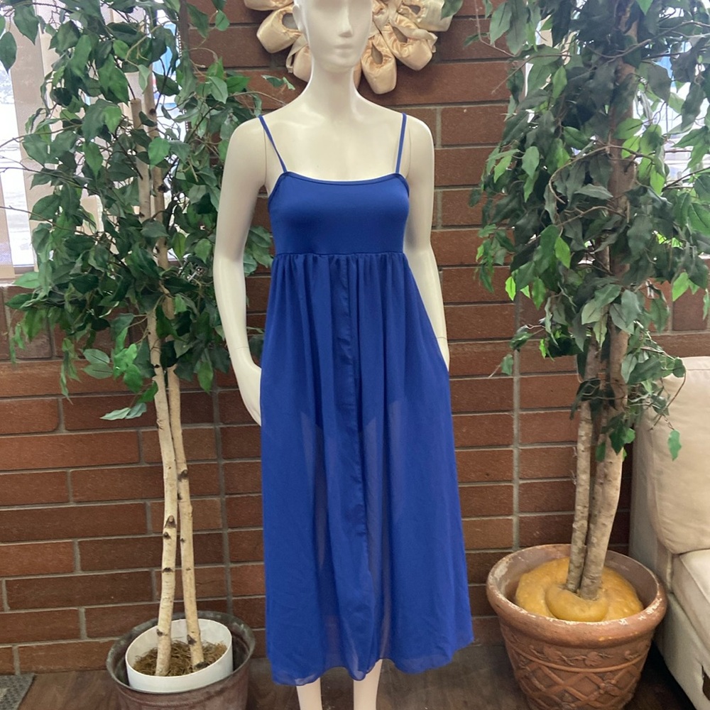 Blue lyrical dress